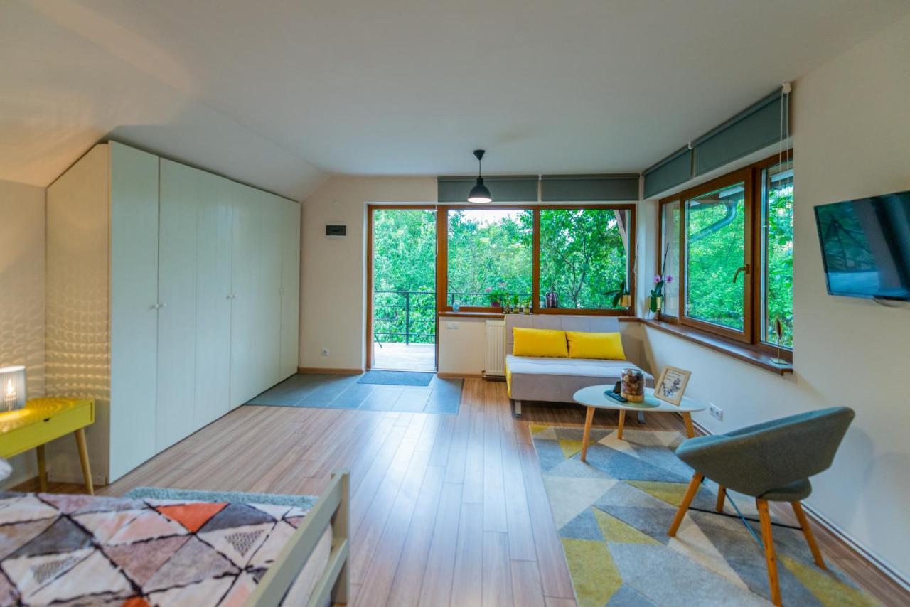 Dragonfly Studio With Garden Brașov Exterior foto