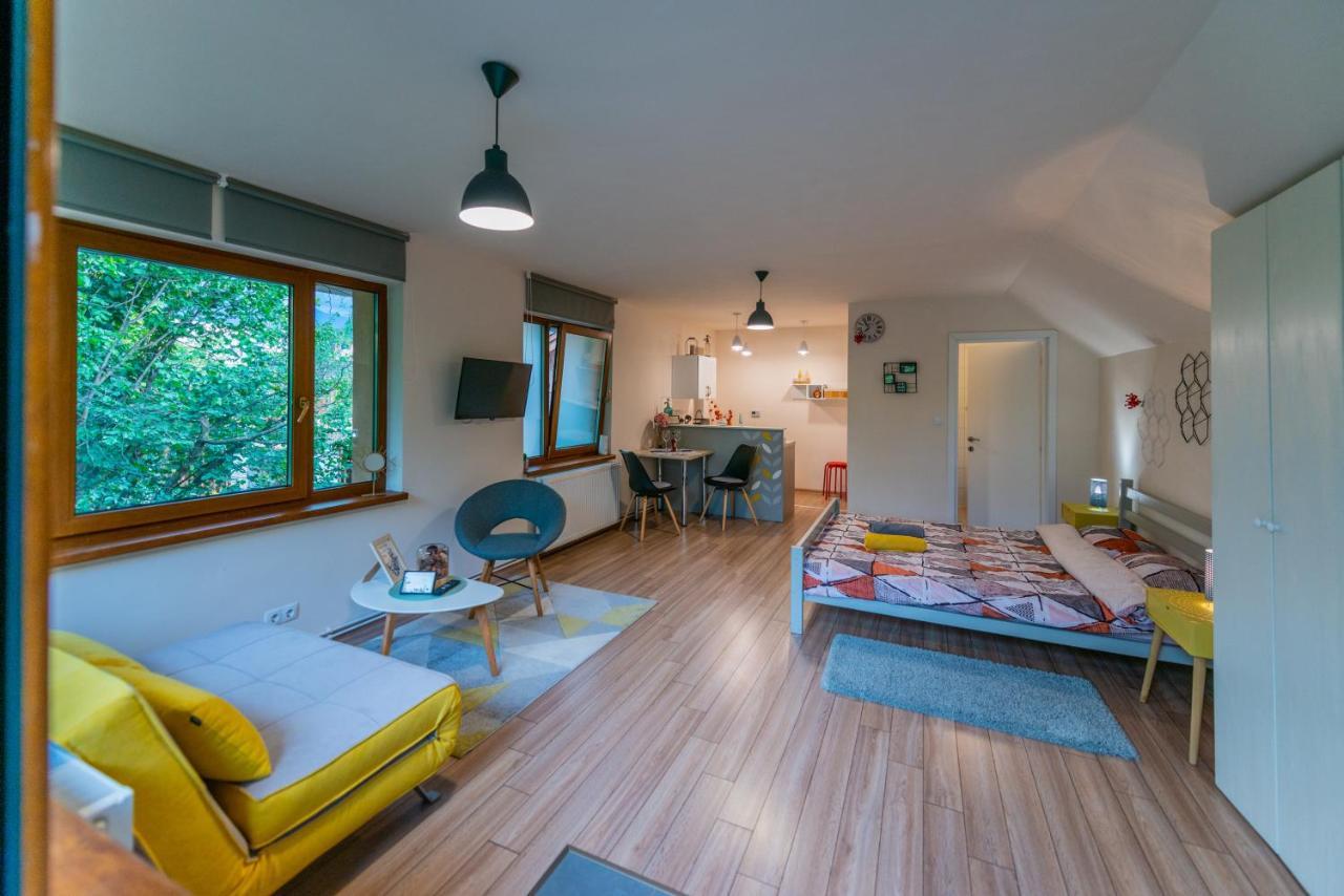 Dragonfly Studio With Garden Brașov Exterior foto