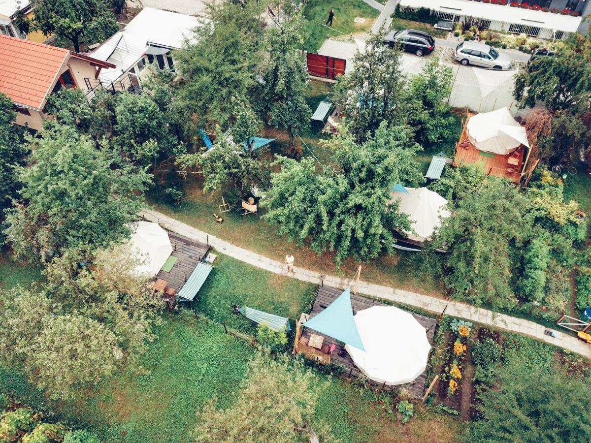 Dragonfly Studio With Garden Brașov Exterior foto