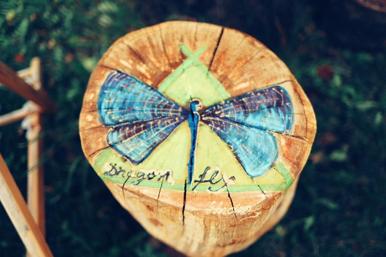 Dragonfly Studio With Garden Brașov Exterior foto
