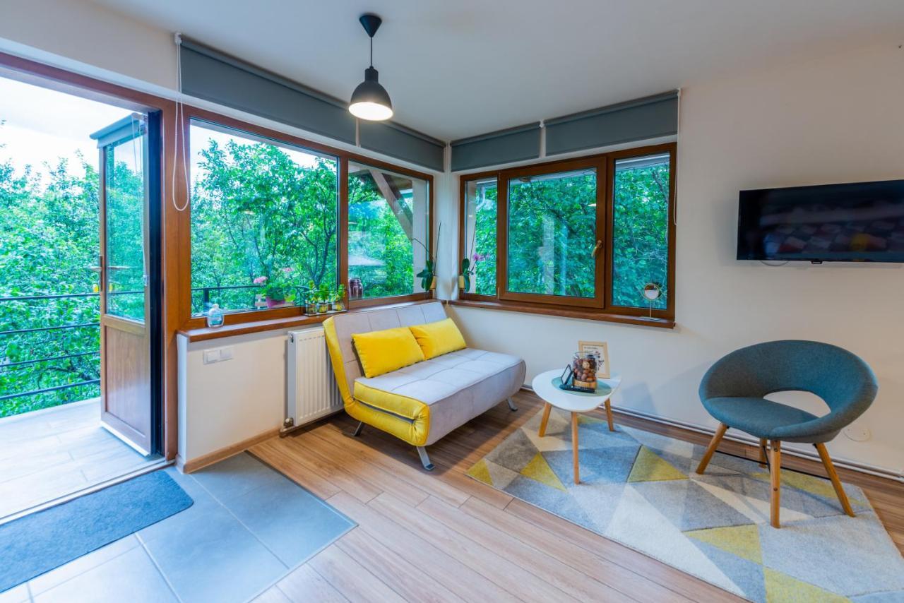 Dragonfly Studio With Garden Brașov Exterior foto