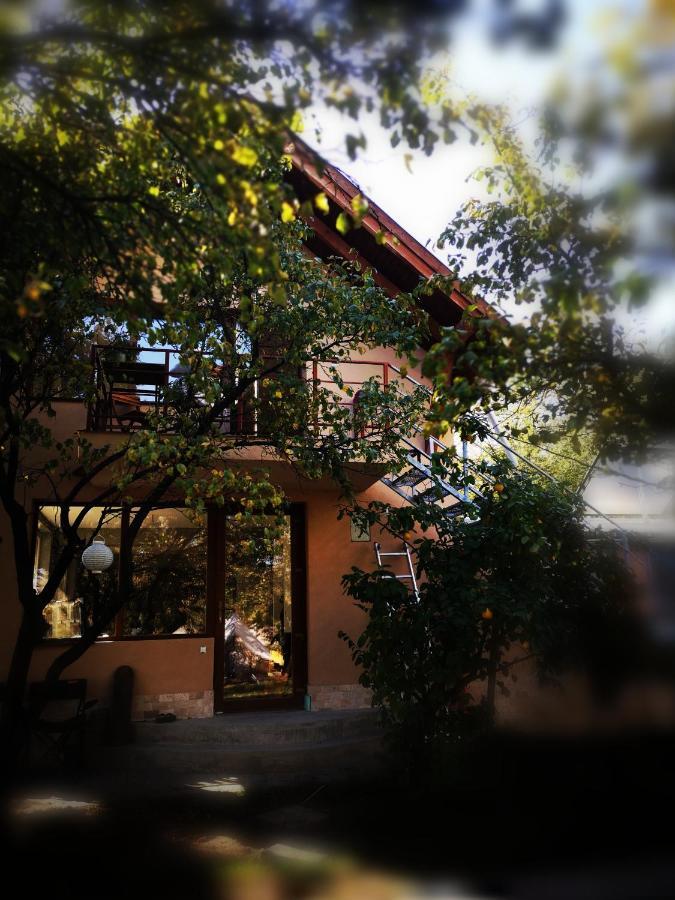 Dragonfly Studio With Garden Brașov Exterior foto